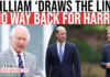 Prince William’s Absence Signals Deepening Royal Rift in Harry’s Court Battle