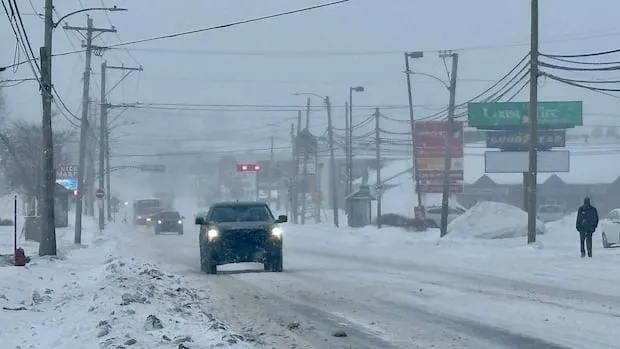 Snowfall Warnings: 15-20 cm Expected in Kings, Queens Counties