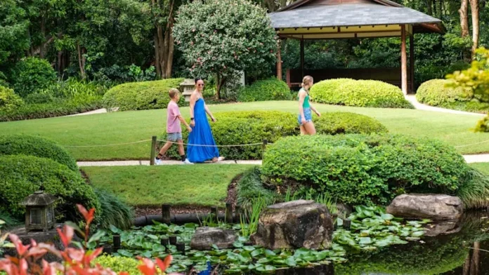 ai-generated-1771136555