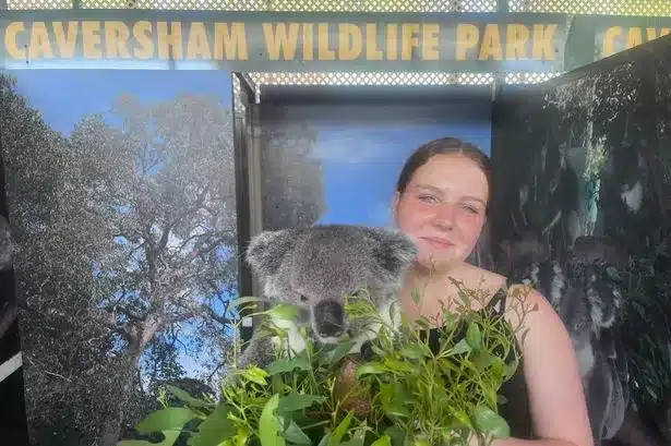 ai-generated-1772020992