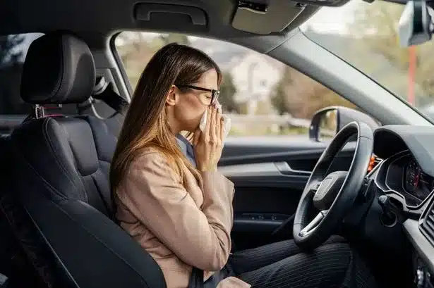 ai-generated-1772183229