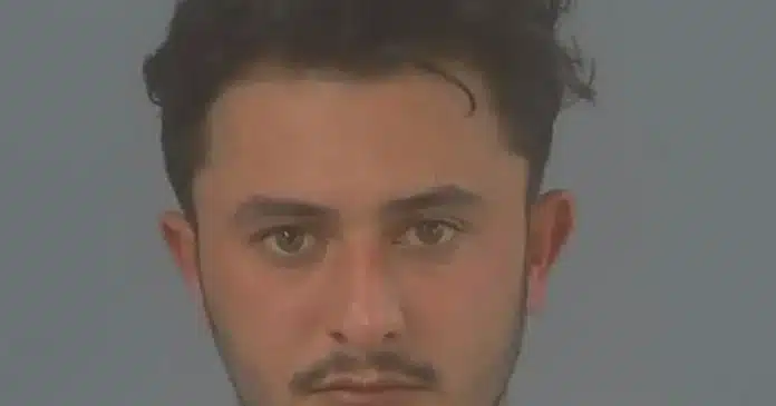 ai-generated-1772229809