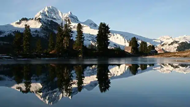 ai-generated-1772305506