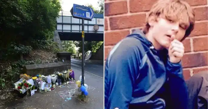 ai-generated-1772575742