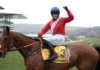 Envoi Allen Dies After Collapsing Post-Cheltenham Gold Cup