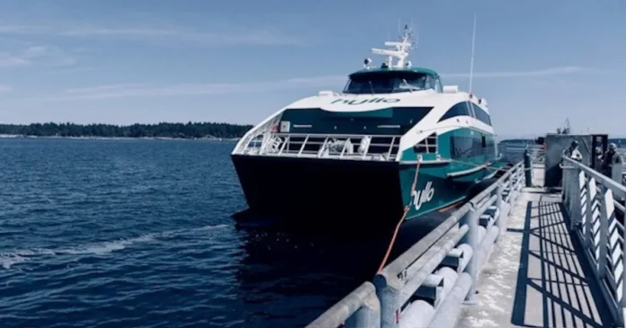 ai-generated-1773541605