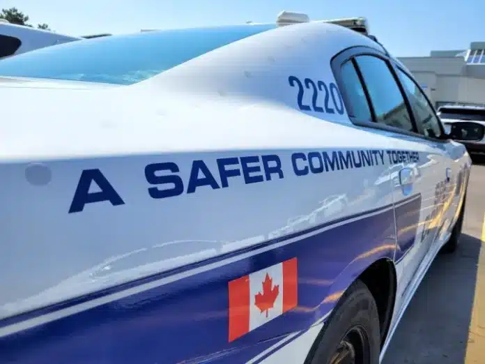 ai-generated-1774465227