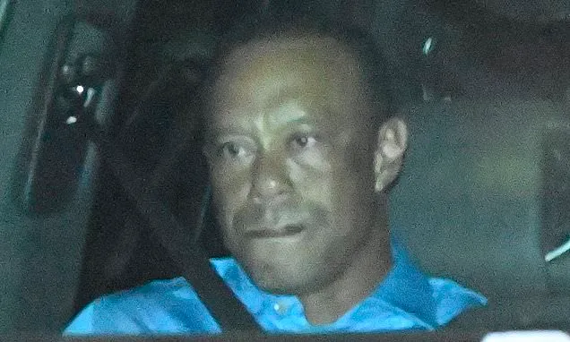 ai-generated-1774980861