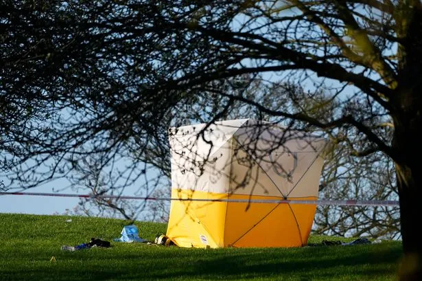 ai-generated-1775671089