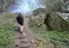 Hood Hill: Druids, Devil’s Footprint, and Fatal RAF Crash
