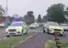 Teenager Dies After Falling Tree Hits Him in Stafford