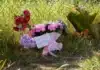 Alice Springs Pays Tribute to Kumanjayi Little Baby in Pink Ribbons