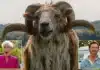The Sheep Detectives Review: Talking Sheep Crack Murder Mystery