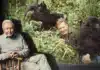 Sir David Attenborough Turns 100: BBC Documentary Review