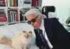 Kaiser’s Cat Left Without Inheritance Despite Millions Set Aside