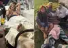 Surfer Details Terrifying Shark Attack Off NSW Coast