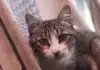 Owner Returns to Horrific Scene After Airbnb Rental