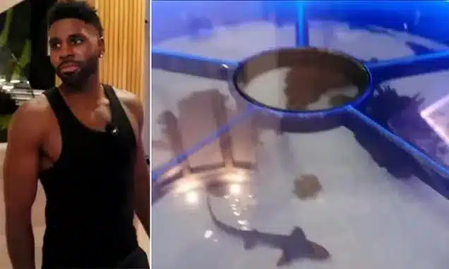 Jason Derulo Faces Backlash Over Home Shark and Ray Aquarium Jason Derulo Faces Backlash Over Home Shark and Ray Aquarium