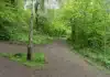 Four-Year-Old Boy Abducted from Park, Later Found Safe