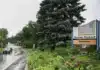 Quebec Town Grants Trees Legal Rights: A Canadian First