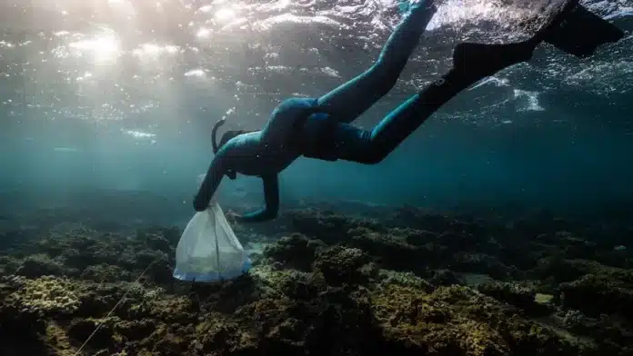 Ningaloo Reef Shows Promising Signs of Life After Bleaching Event