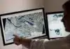 Norway Invests $9.5M to Bolster Global Forest Monitoring