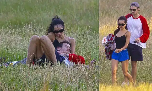 Harry Styles and Zoe Kravitz’s PDA-Filled Picnic Before Stage Collapse Harry Styles and Zoe Kravitz’s PDA-Filled Picnic Before Stage Collapse