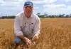 Australian Farmers Seek Paraquat Alternatives Amid Supply Concerns
