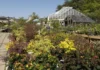 Iconic Garden Centre to Close Hemel Hempstead Site