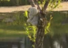 Child Dies After Drowning in Calgary Stormwater Pond