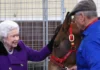 Monty Roberts, Famed Horse Trainer and Friend to Queen Elizabeth, Dies at 91