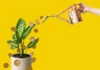 Investing Made Simple: A Guide to Exchange Traded Funds
