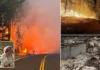 Washington Wildfires Displace Thousands in Historic Disaster