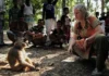 Primatologist’s Activism: The Ethics of Macaque Testing