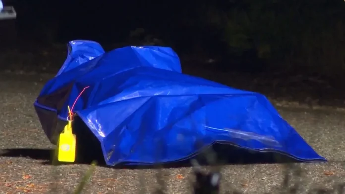 Police Operation Ends After ‘Body’ in Suitcase Revealed as Realistic Sex Doll Police Operation Ends After ‘Body’ in Suitcase Revealed as Realistic Sex Doll