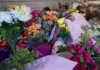 Kumanjayi White Family Continues Fight for Answers After Legal Action Discontinued