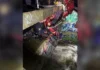 Man Rescued from Saskatoon Storm Drain After Heavy Rain