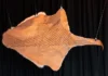Pyrography: The Ancient Art of Fire Painting