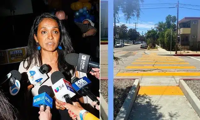 Nithya Raman Faces Online Mockery Over Los Feliz Crosswalk Project Nithya Raman Faces Online Mockery Over Los Feliz Crosswalk Project