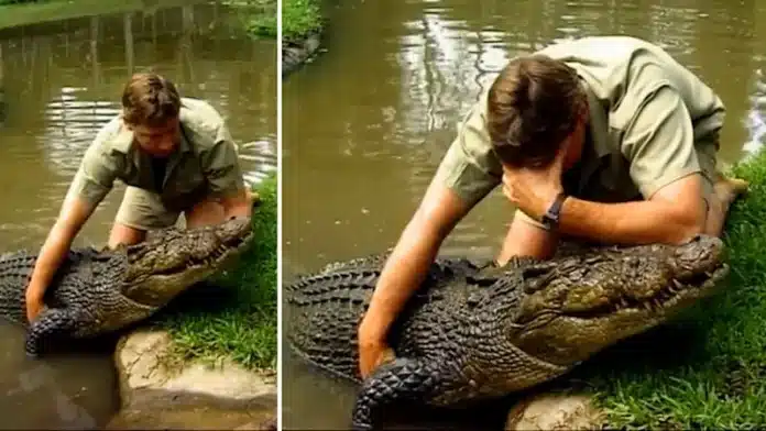Steve Irwin’s Emotional Farewell to Mary the Crocodile