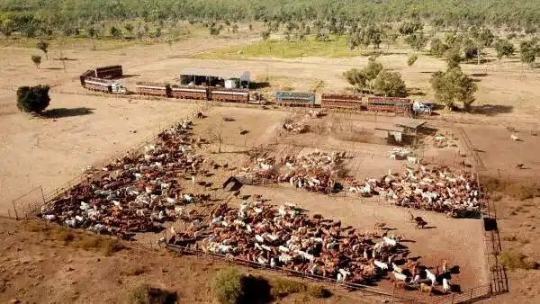Guy Hands’ Company Buys NT Cattle Station, Expands Land Holdings Guy Hands’ Company Buys NT Cattle Station, Expands Land Holdings