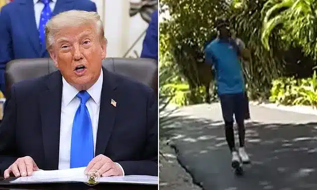 Trump Calls Tiger Woods’ Plea Deal ‘Very Fair’ After Driving Ban Trump Calls Tiger Woods’ Plea Deal ‘Very Fair’ After Driving Ban