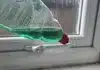 Stop Window Condensation: The Washing-Up Liquid Trick for Autumn