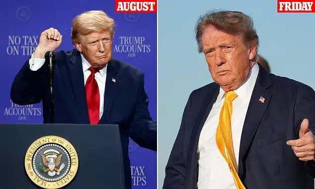 Donald Trump’s Hair: A Shifting Style and the Secrets Behind It