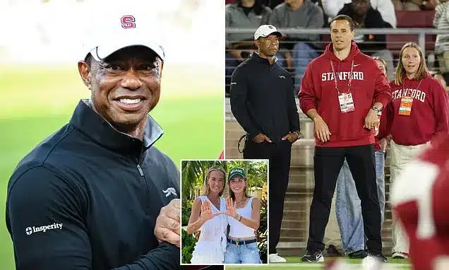 Tiger Woods Appears at Stanford Game Post-Driving Ban Tiger Woods Appears at Stanford Game Post-Driving Ban