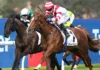 Rosehill Race Day: Expert Picks and Previews for Saturday’s Card