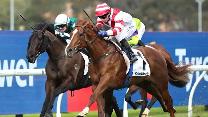 Rosehill Race Day: Expert Picks and Previews for Saturday’s Card