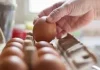 Best Way to Store Eggs for 5 Weeks: Expert Reveals Fridge Secret