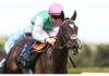 Blue Bolt Dominates Matron Stakes for Fifth Straight Win