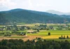 BC Agricultural Land Rules Face Scrutiny Over Proposed Processing Changes